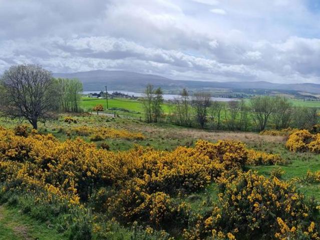 Land for sale in Bonar Bridge, Scotland