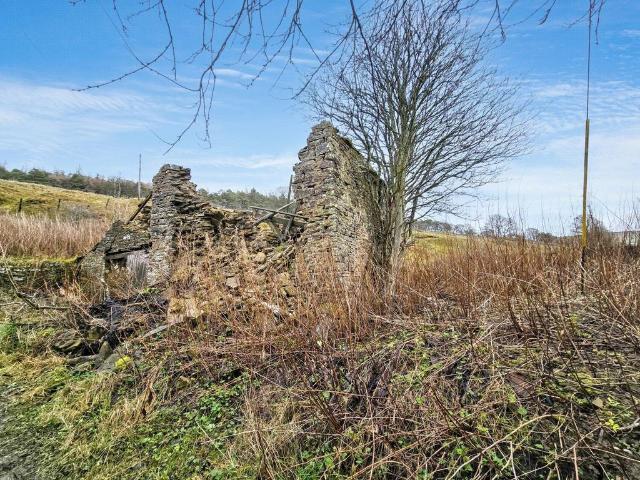 Commercial for sale in Allenheads, Northumberland