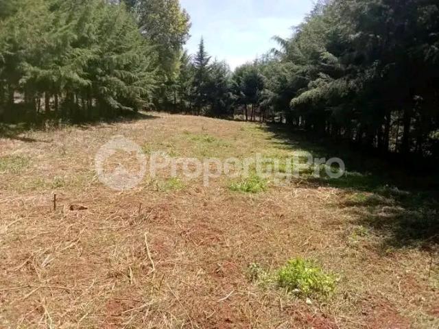 Land for sale in Nyahururu Land for sale in Nyahururu
