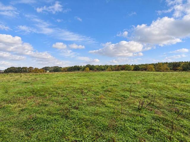 Land for sale in Southbourne, Chichester