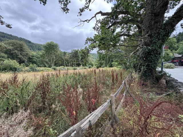 Land for sale in Betws-y-coed, Wales