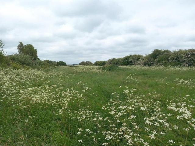 Land for sale in Mablethorpe and Sutton, Belleau