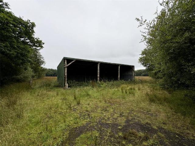 Land for sale in Brandis Corner, Devon