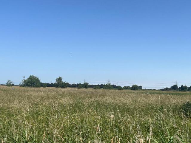 Land for sale in Gosberton Clough, Lincolnshire