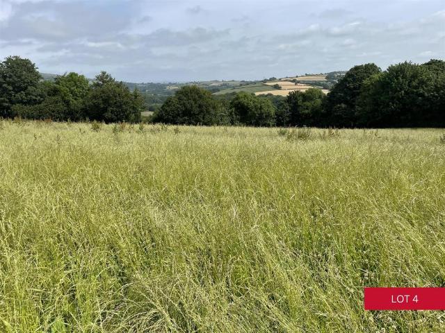 Land for sale in Strode, Devon