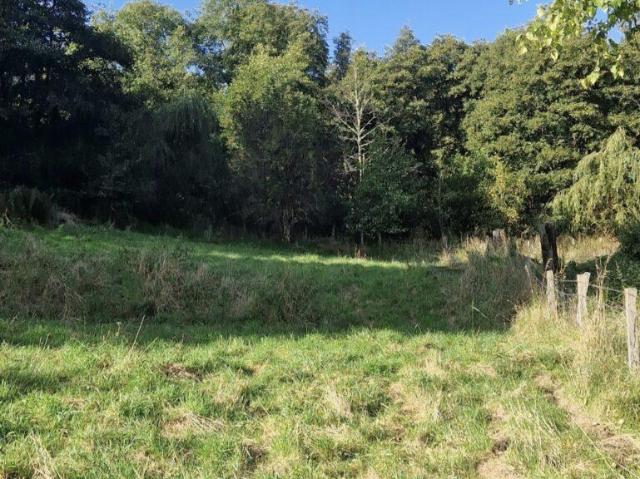 Land for sale in Rothes, Scotland