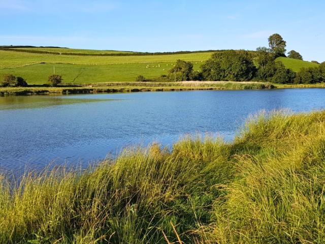 Land for sale in Llanddowror, St Clears