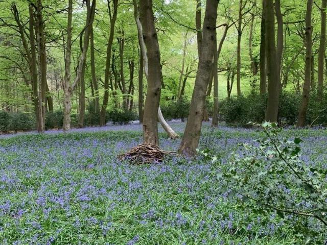 Land for sale in Berrick Salome, Oxfordshire
