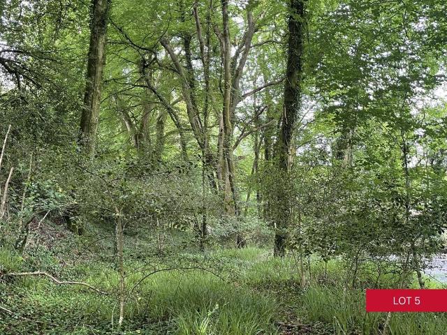 Land for sale in Strode, Devon