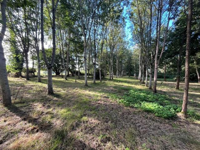 Land for sale in Eardiston, Malvern Hills