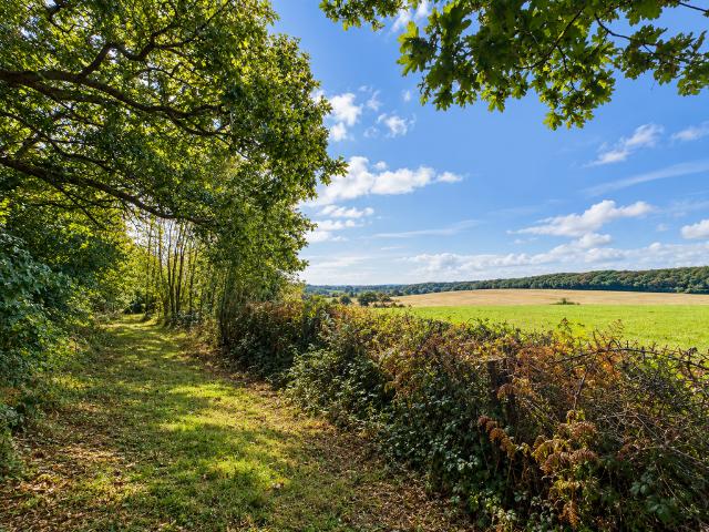 Land for sale in Cross In Hand, East Sussex