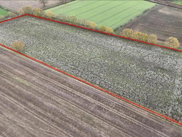 Land for sale in Seaton Ross