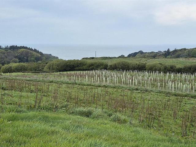 Land for sale in Kentisbury, Devon