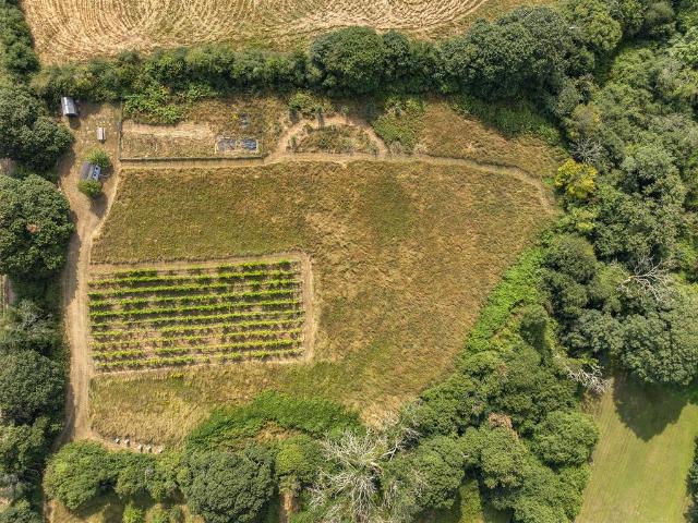 Land for sale in Penweathers, Cornwall