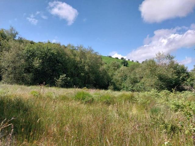 Land for sale in Weir Quay, Devon