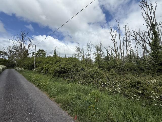Land for sale in Llangwm, Wales