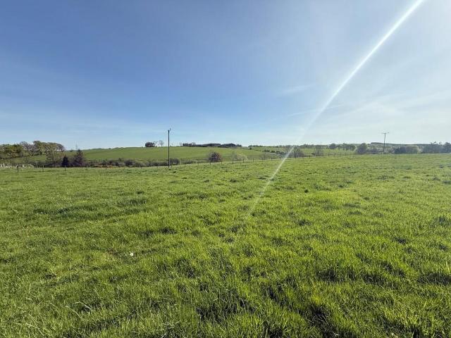 Commercial for sale in Scotland