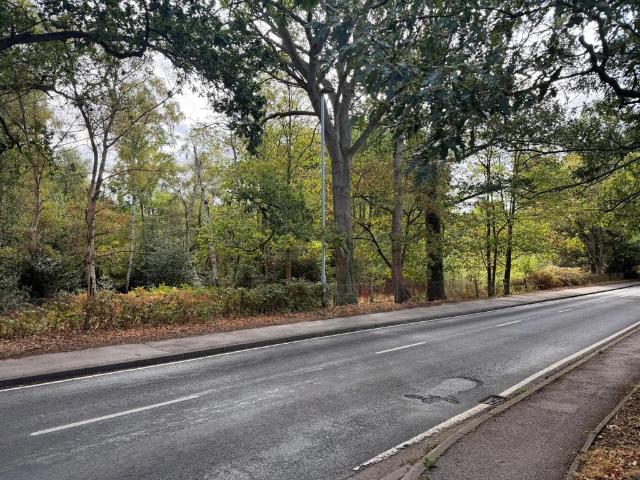 Land for sale in Finchampstead