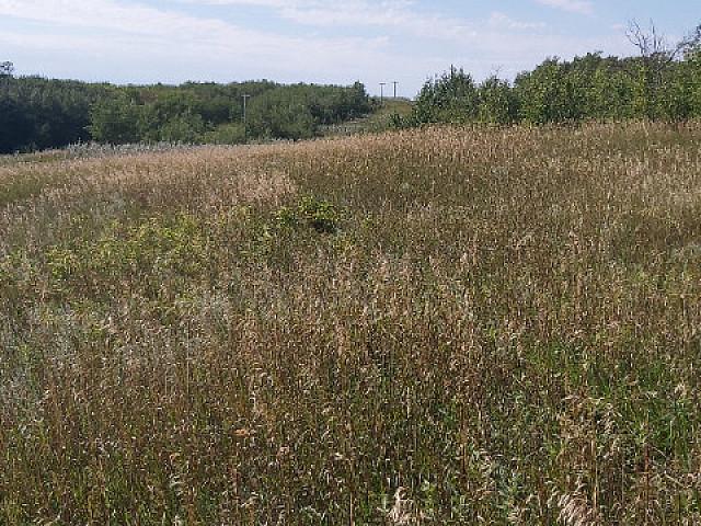 Land for sale in Stettler, Alberta