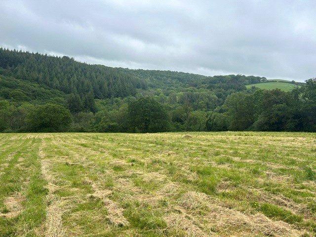 Land for sale in Bridford, Devon
