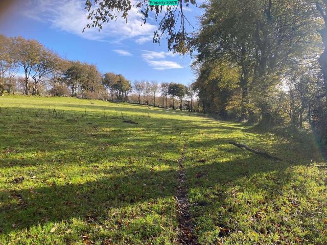 Land for sale in Llanddewi Brefi, Llanddewi-brefi