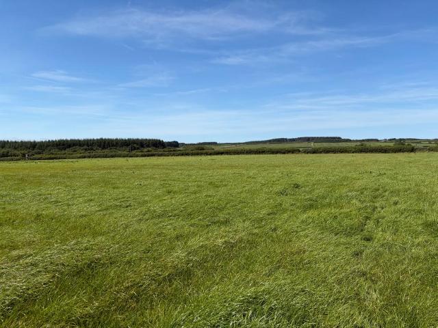 Land for sale in Brandis Corner, Devon