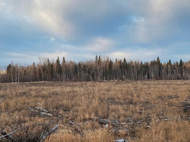 Land for sale in Alberta