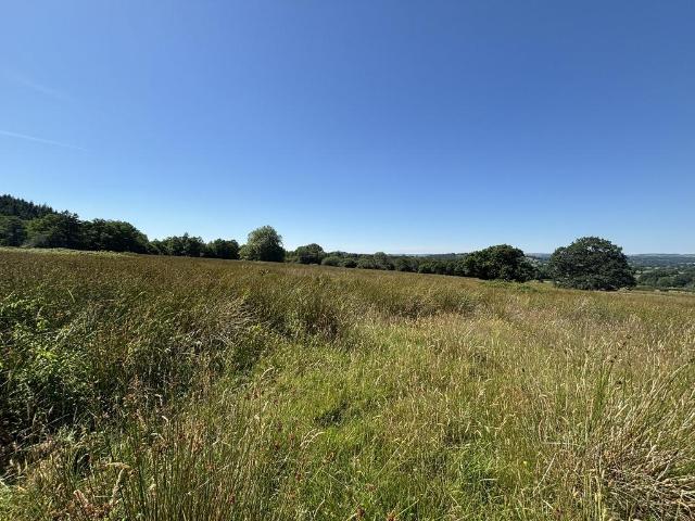 Land for sale in Llanfihangel Aberbythych, Wales