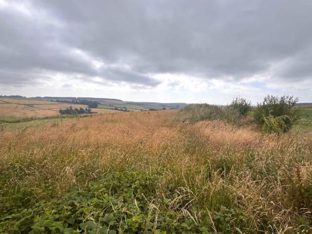 Land for sale in Scotland