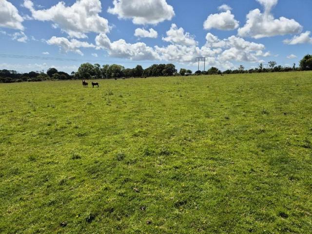 Land for sale in Llanystumdwy, Llanarmon