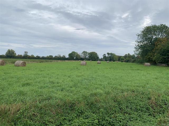 Land for sale in Great Ellingham, Breckland