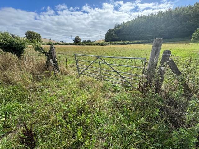 Commercial for sale in Bampton, Mid Devon