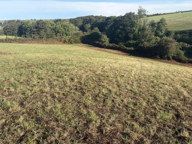 Land for sale in Mount Ambrose, Cornwall