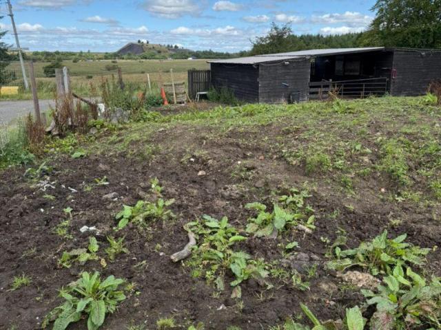 Commercial for sale in Scotland
