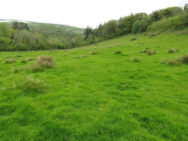 Land for sale in Strode, Devon