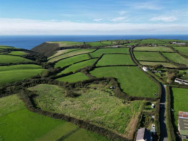 Land for sale in Old Dizzard, Cornwall