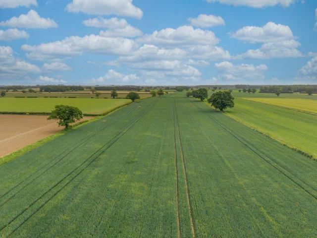 Land for sale in York