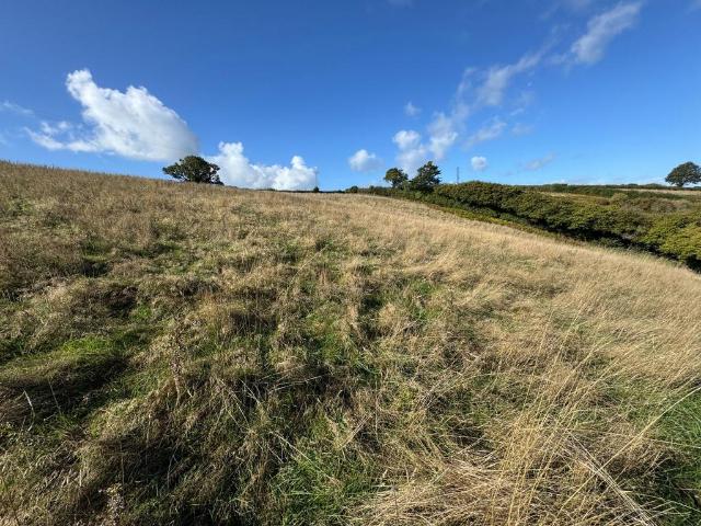 Land for sale in Combeinteignhead, Teignbridge