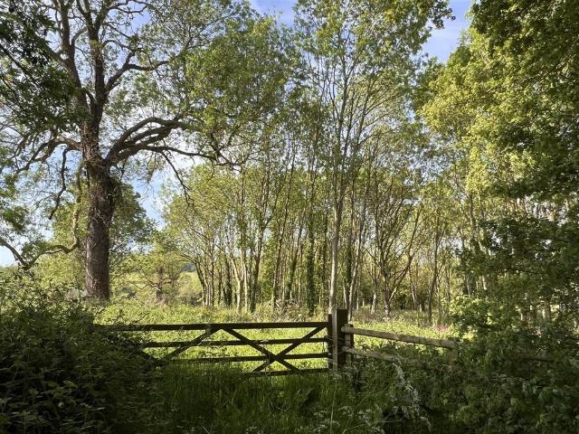 Land for sale in Elmfield, Leicestershire