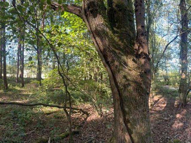 Commercial for sale in Friday Street, Mole Valley