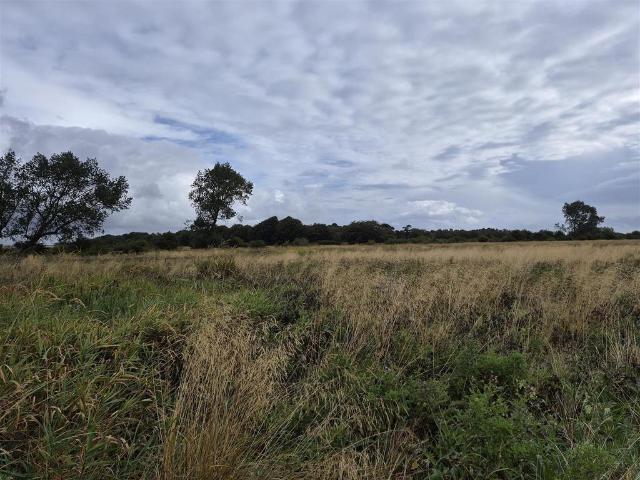 Land for sale in Prestwick, Ingoe