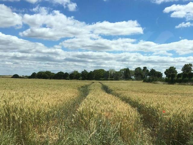 Land for sale in Conisbrough, South Yorkshire