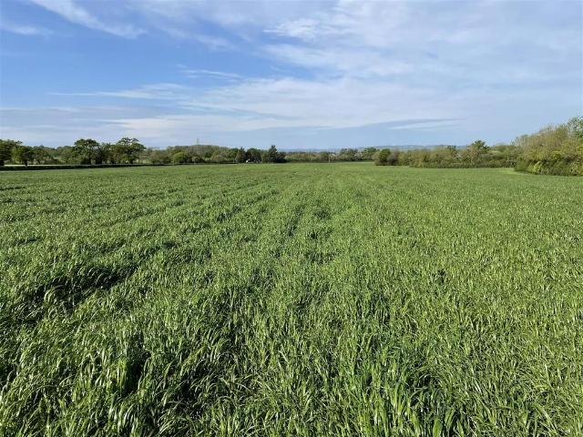 Land for sale in Budlake, Devon