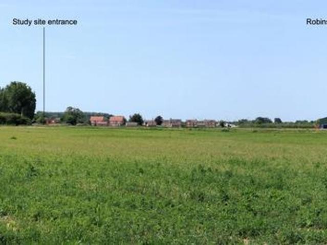 Land for sale in Brookville, Norfolk