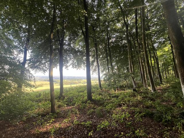 Land for sale in Oswestry, Shropshire