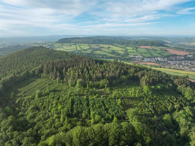 Land for sale in Budlake, Devon