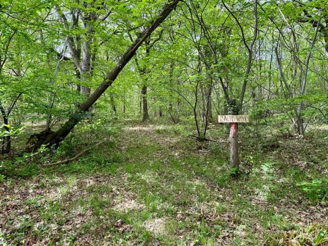 Land for sale in Oad Street, Kent