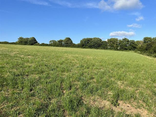 Land for sale in Letterston