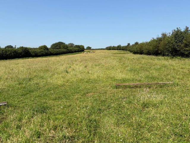 Land for sale in Blisland, Cornwall