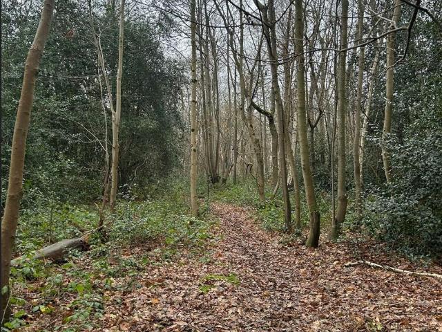 Land for sale in Westborough, Surrey